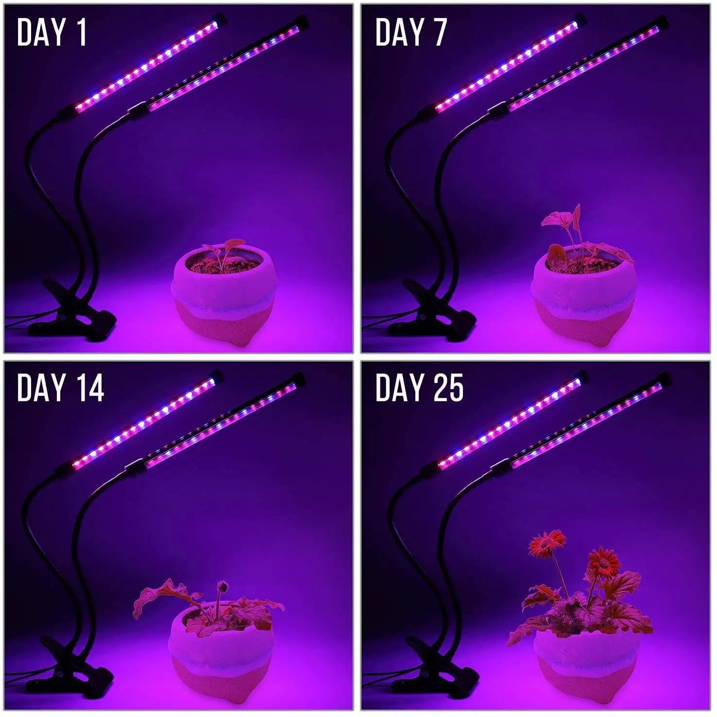 Led Plant Grow Light